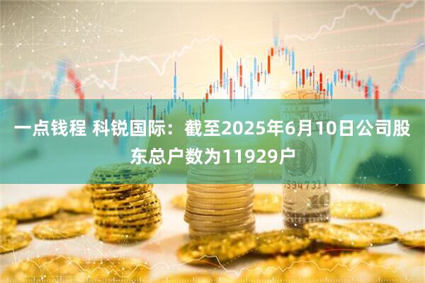 一点钱程 科锐国际：截至2025年6月10日公司股东总户数为11929户