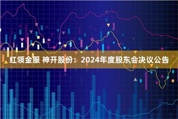 红领金服 神开股份：2024年度股东会决议公告