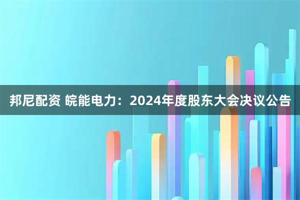 邦尼配资 皖能电力：2024年度股东大会决议公告