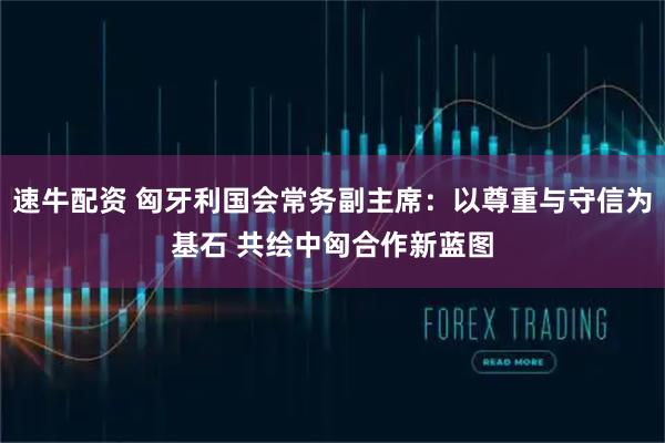 速牛配资 匈牙利国会常务副主席：以尊重与守信为基石 共绘中匈合作新蓝图
