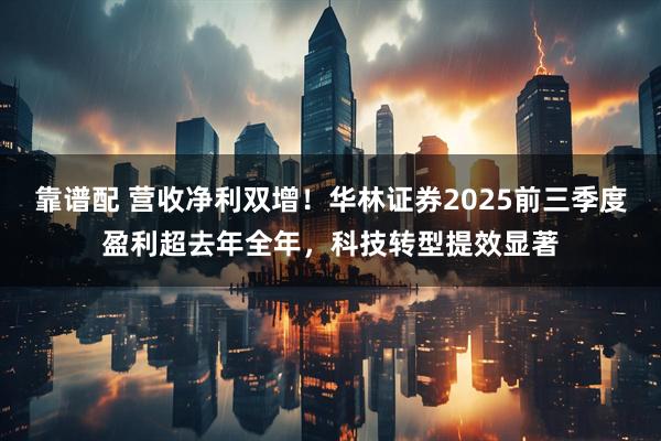靠谱配 营收净利双增！华林证券2025前三季度盈利超去年全年，科技转型提效显著